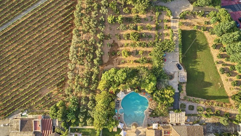 Sa Vinya Des Convent Agroturismo Inca  Dış mekan fotoğraf